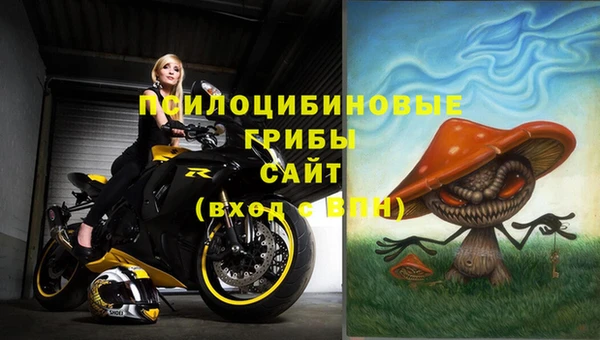гидропоника Алзамай