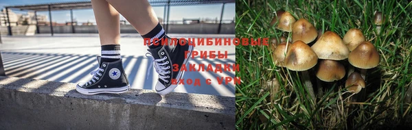 тгк Алексин