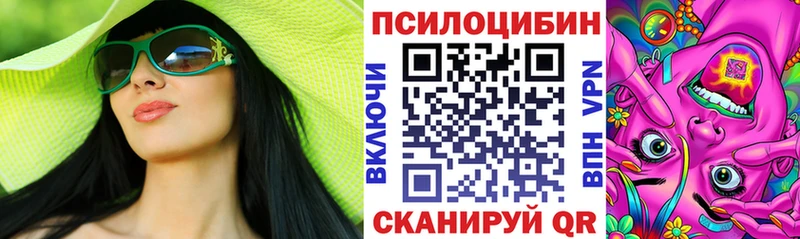 закладка  Боготол  Псилоцибиновые грибы MAGIC MUSHROOMS 